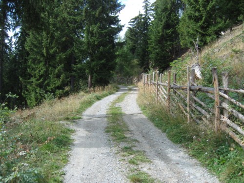 Einer der vielen Wege