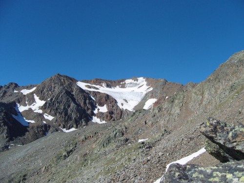 Hasenohr mit Gletscher